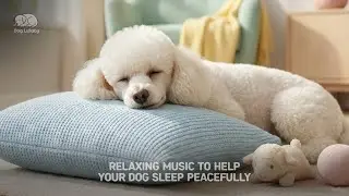 🌙 ASMR Dog Breathing 3 MIN | Deep Calm | 8K Ultra Still Sleep Aid