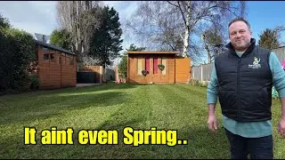 On my lawn, and its still January   Crazy
