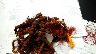 Rudraksha Malas Nepali www rudraveda com