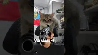 #Cat1000-d7l