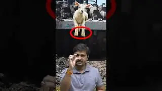 Concept-20 | Sheep Foot Roller | Compaction | Soil Mechanics Shorts By Dushyant Sir