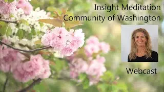 Tara Brach | Finding True Refuge - Wednesday Class with Meditation and Talk