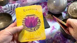 Soul Coaching Oracle Cards by Denise Linn Deck Flip Through #oraclecards #oraclecarddeck #deniselinn