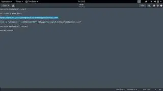 Copy of Metasploit Error Resolved - Failed to connect to the database
