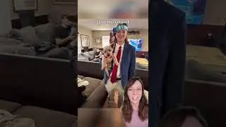 Missing Yorkie found pledging fraternity in southern Mississippi #dogs #shorts
