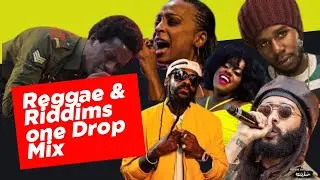 🔥 ONE DROP REGGAE & RIDDIM MIX 2025 | Weekend Shellinz Edition 🔥 | DJ Leizner TMC