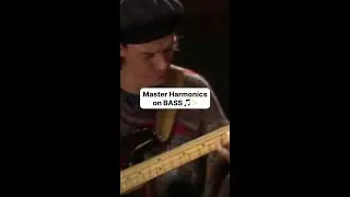 Мастер гармоники на басе 🎵✨