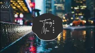 Trong Mưa - U&ocirc;ng Phong | 汪峰 - 在雨中 | 阿福 Remix - Nhạc Chill