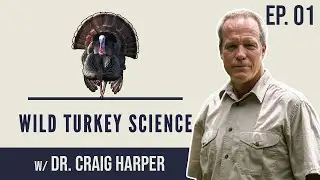 Ongoing Wild Turkey Research in Tennessee,  Impacts of season timing w/ Dr. Craig Harper | Ep. 01