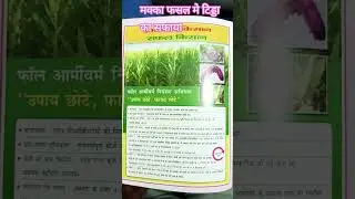 plants protection @makka fasal agriculture @Jdpp