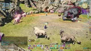 [FFXIV] Bardam's Mettle - SCH PoV