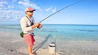 2 Hours Beach Snook Fishing Gulf Coast Florida