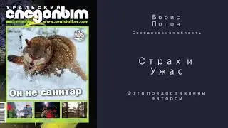 Страх и ужас