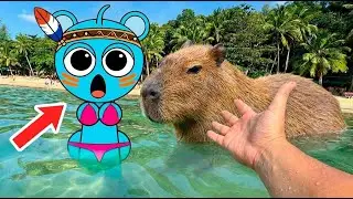 Sprunki Sky in the Zoo  / Sprunki in Real Life