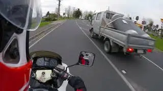 BikeHQ short