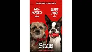 Episode #337: Strays