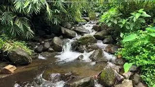 Soothing Natural Waterfall in 4K | Relaxing Nature Sounds for Sleep, Study & Stress Relief