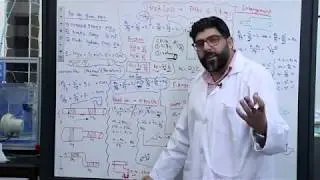 Head Loss in Pipes and Fittings (Theory and Live Experiment)