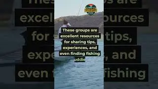 Master Fall Bass Fishing with the Right Gear P29  #shorts #short #bassfishing #fishing