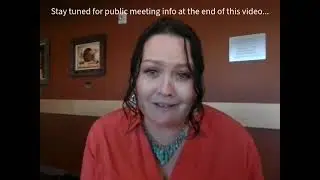 What is the $40 million bond issue under consideration by County Council about? (Part One)