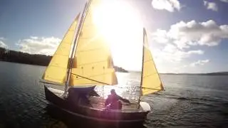 BayRaider 17