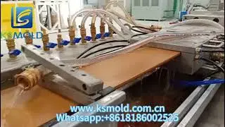 Co-extrusion PE WPC Cladding Extrusion Mold