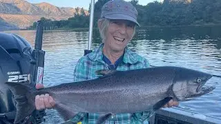 Upper Columbia River Summer Chinook and Sockeye Report: Limited on Chinook and Sockeye most days