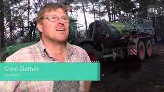 Kampf gegen Waldbrand an der Autobahn