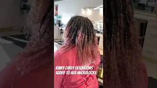 Kinky curly extensions added to her #microlocs #microlocks #goddesslocs #sisterlocks #locextensions
