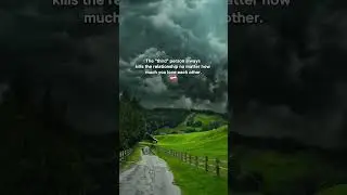 The 