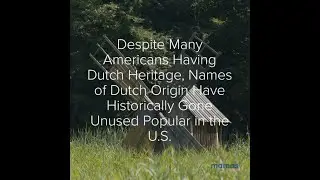 Popular Dutch Names for Girls