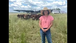 Lakewinds LOFF 2024 Joia Food & Fiber Farm