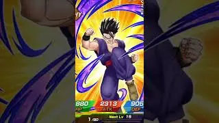 CRAZY DOUBLE LR Summon #dokkanbattleglobal