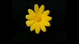 Cardiacs &ndash; Is This The Life (Official Music Video) [Extended Edit & Upscale]