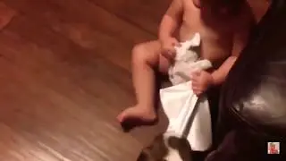 TOP FUNNIEST ANIMALS!! [BEST COMPILATION 2020]