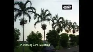 Merindang Dara Selantang - Ganning Hassan