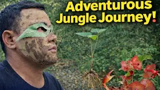 Jungle Adventure & Survival Journey | Bushcraft + Crab Catching #adventure #survival #outdoorvideo 