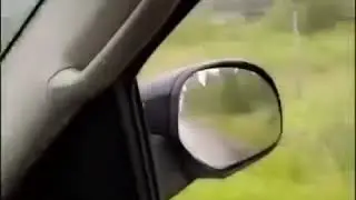 What bitch?