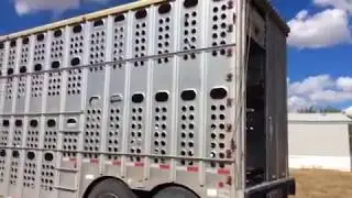 1998 Merritt T/A Livestock Trailer