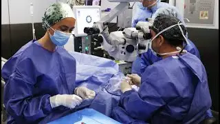 &iquest;C&oacute;mo frenar el avance del glaucoma?