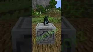 Soul Hat Display