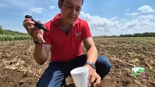 Using multiparameters for early sowing #CulturAgroTV #INTA