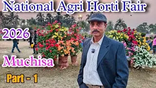 ন্যাশনাল  এগ্রি হর্টি ফেয়ার ২০২৬ মুচিসা চোখ ধাঁধানো গোলাপ ও বনসাই গাছের শো / National flower show 