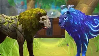 Animal Kingdoms : Wolf Sim MMO Opening The Weekly Guild Chest ! Rank #23 Rewards ! ✨2️⃣3️⃣