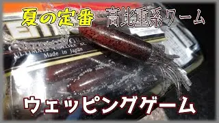 【ソルコア】着水点目視不可のカバーフィッシング【ウェッピング】