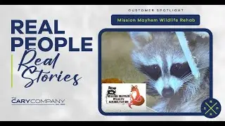 Mission Mayhem Wildlife Rehabilitation | The Cary Company