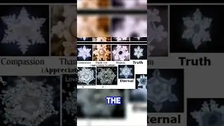 EZ water and DNA #consciousness #waterfall