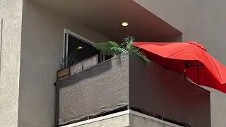Tiffainy Casey is live at 5243 Beachfront Cove in San Diego #125