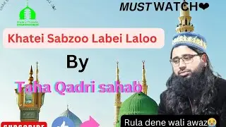 Khatei Sabzoo Labei Laloo || Farsi Naat || Taha Qadri || Shah e Konainﷺ Naat Markaz