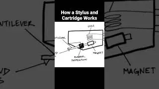 How a Turntable Stylus and Cartridge Works With @coolhandlex